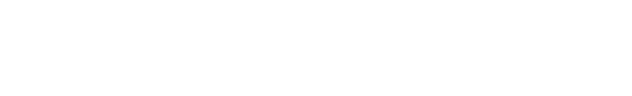 SV Investment