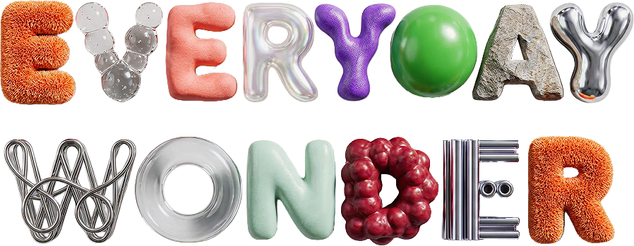 Everyday Wonder